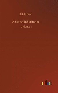 bokomslag Secret Inheritance