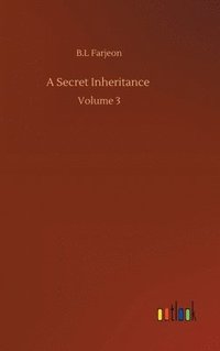 bokomslag Secret Inheritance