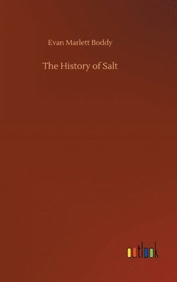 bokomslag History of Salt