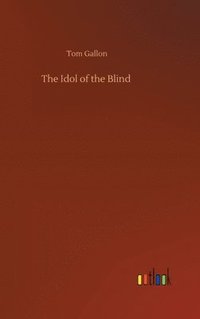 bokomslag The Idol of the Blind