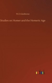 bokomslag Studies On Homer And The Homeric Age