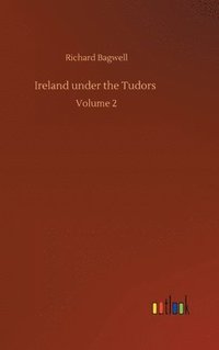 bokomslag Ireland under the Tudors