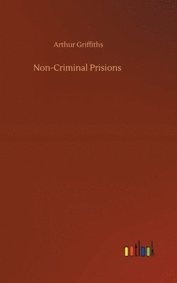 Non-Criminal Prisions 1