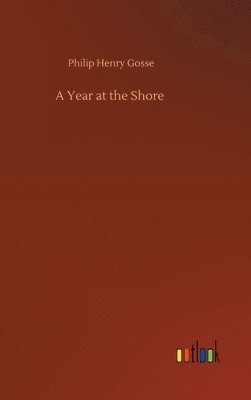 A Year at the Shore 1