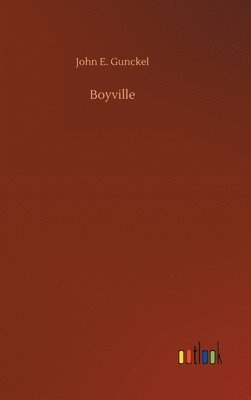 bokomslag Boyville