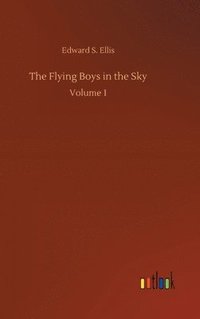 bokomslag Flying Boys in the Sky