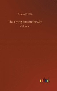 bokomslag The Flying Boys in the Sky