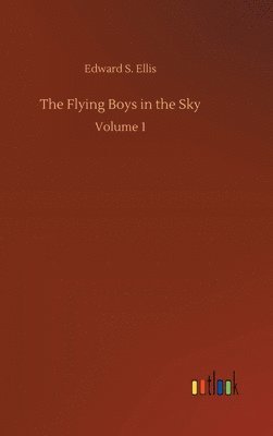 bokomslag The Flying Boys in the Sky