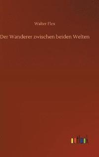 bokomslag Der Wanderer zwischen beiden Welten