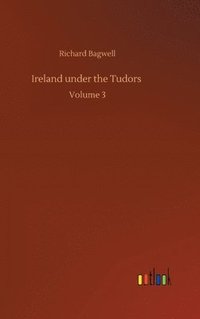 bokomslag Ireland under the Tudors