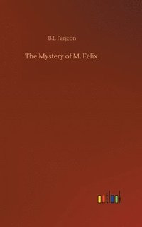 bokomslag The Mystery of M. Felix