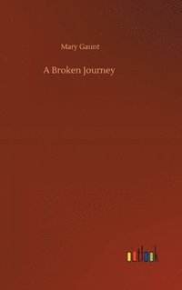 bokomslag A Broken Journey