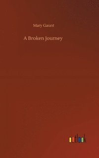 bokomslag Broken Journey