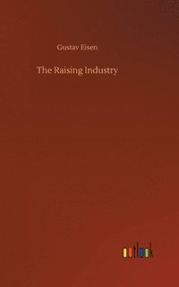 bokomslag Raising Industry