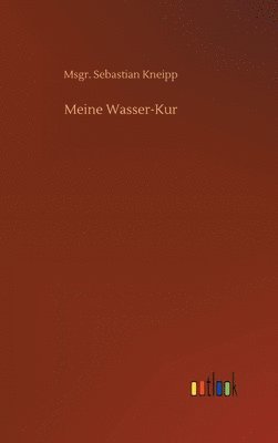 bokomslag Meine Wasser-Kur