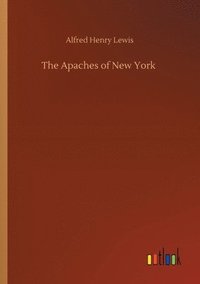 bokomslag Apaches of New York