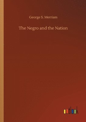bokomslag The Negro and the Nation