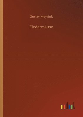 bokomslag Fledermäuse