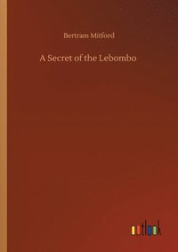 bokomslag Secret of the Lebombo