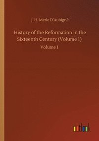 bokomslag History of the Reformation in the Sixteenth Century (Volume 1)