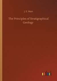 bokomslag Principles of Stratigraphical Geology