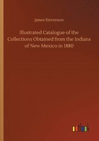 bokomslag Illustrated Catalogue of the Collections Obtained from the Indians of New Mexico in 1880
