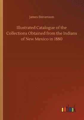 Illustrated Catalogue of the Collections Obtained from the Indians of New Mexico in 1880