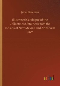 bokomslag Illustrated Catalogue of the Collections Obtained From the Indians of New Mexico and Arizona in 1879