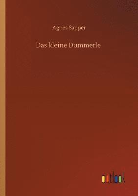 Agnes Sapper - kleine Dummerle, Häftad