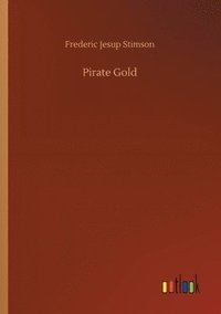 bokomslag Pirate Gold