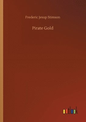 bokomslag Pirate Gold