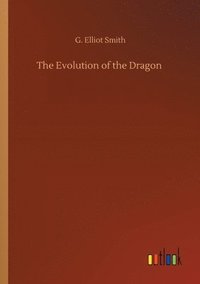 bokomslag The Evolution of the Dragon