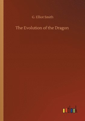 The Evolution of the Dragon 1