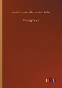 bokomslag Viking Boys