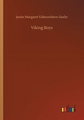 bokomslag Viking Boys