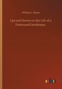 bokomslag Ups and Downs in the Life of a Distressed Gentleman