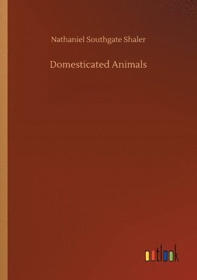 Domesticated Animals 1