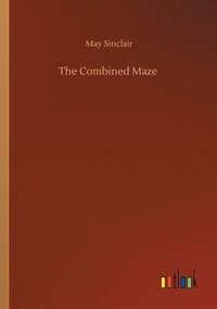 bokomslag Combined Maze