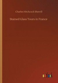 bokomslag Stained Glass Tours in France