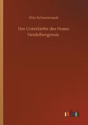 bokomslag Der Unterkiefer des Homo Heidelbergensis