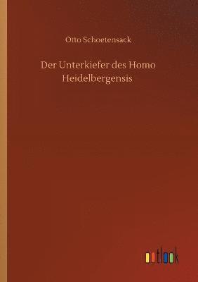 Unterkiefer des Homo Heidelbergensis