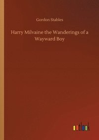 bokomslag Harry Milvaine the Wanderings of a Wayward Boy