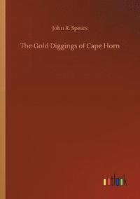 bokomslag The Gold Diggings of Cape Horn