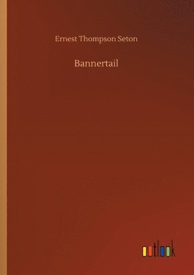 Ernest Thompson Seton - Bannertail, Häftad