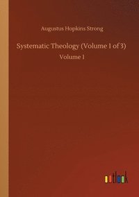 bokomslag Systematic Theology (Volume 1 of 3)