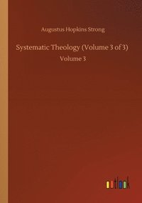 bokomslag Systematic Theology (Volume 3 of 3)