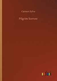 bokomslag Pilgrim Sorrow