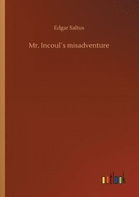 bokomslag Mr. Incoul¿s misadventure