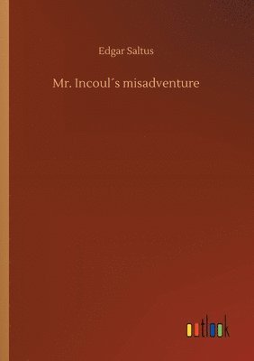 bokomslag Mr. Incouls misadventure