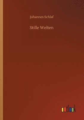 bokomslag Stille Welten